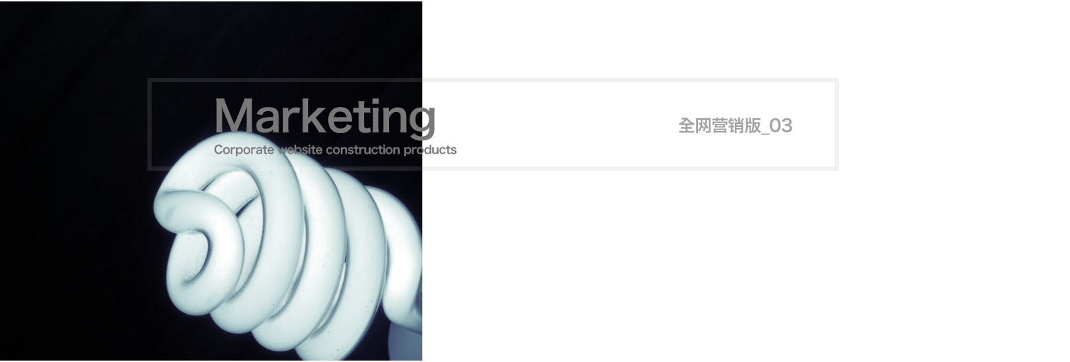 全網(wǎng)營銷版